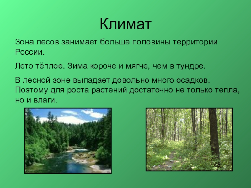 Описание природной зоны смешанные и широколиственные леса по плану 7 класс