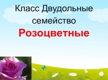 Презентация по биологии на тему Розоцветные