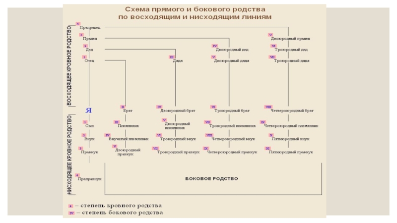 Схема степеней родства. Схема родства двоюродные троюродные. Степени родства схема. Степени родства родственные связи. Схема родственных связей.