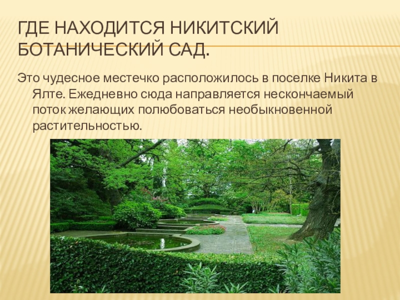 Реферат: Ботанический сад 2