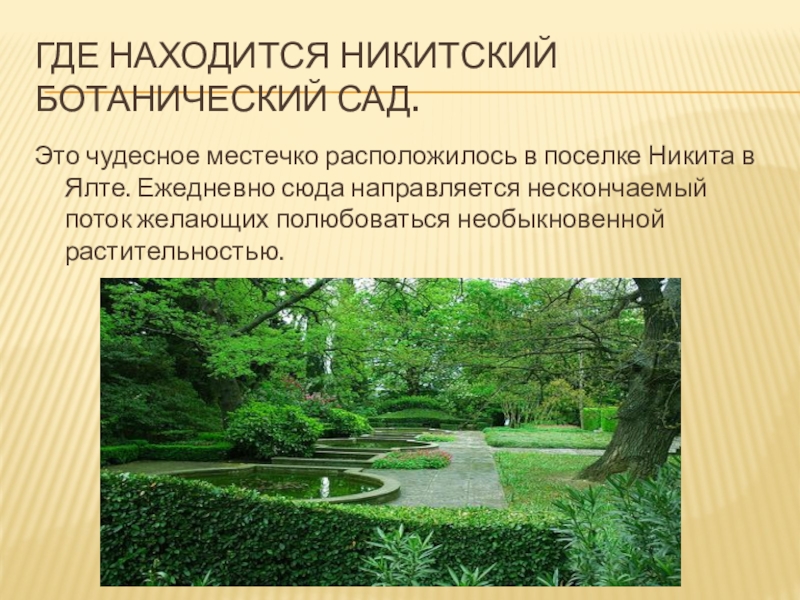 Где находится Никитский ботанический сад.Это чудесное местечко расположилось в поселке Никита в Ялте. Ежедневно сюда направляется нескончаемый