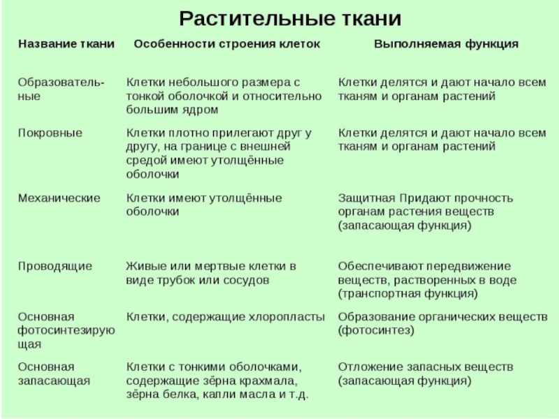 Темы для проектов 11 класс биология