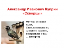 Презентация к уроку литературного чтения А. И. Куприн Скворцы