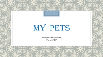 Презентация My pets 3 класс
