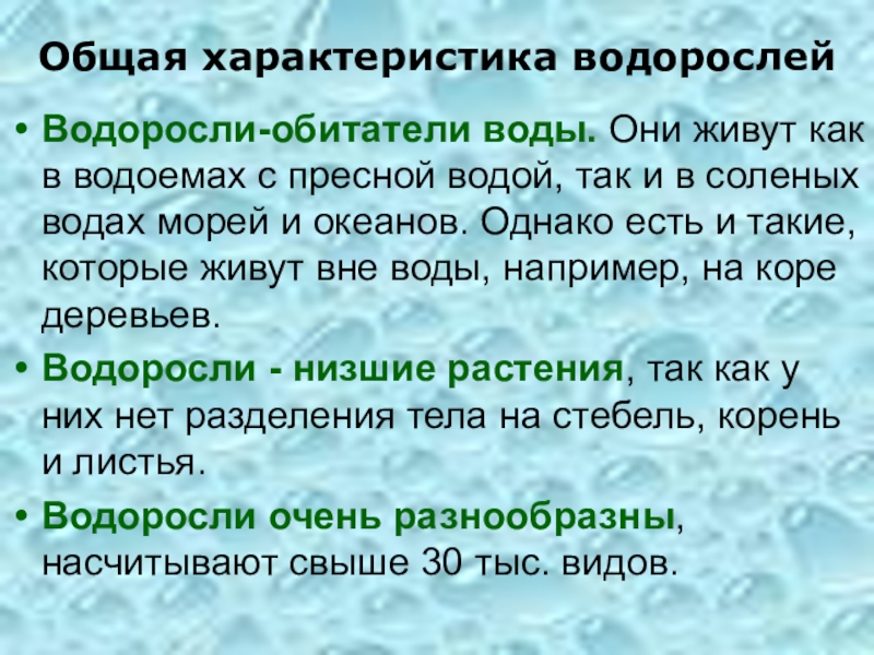 Дайте характеристику водорослям