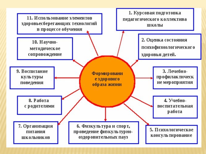 План образовательных программ касающихся вопросов здоровья