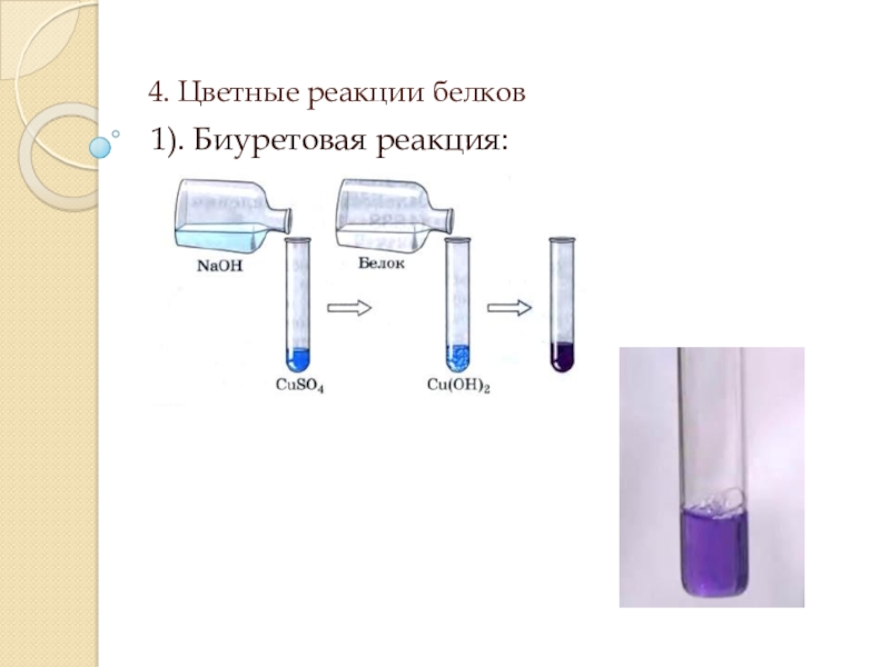 Напишите схему биуретовой реакции