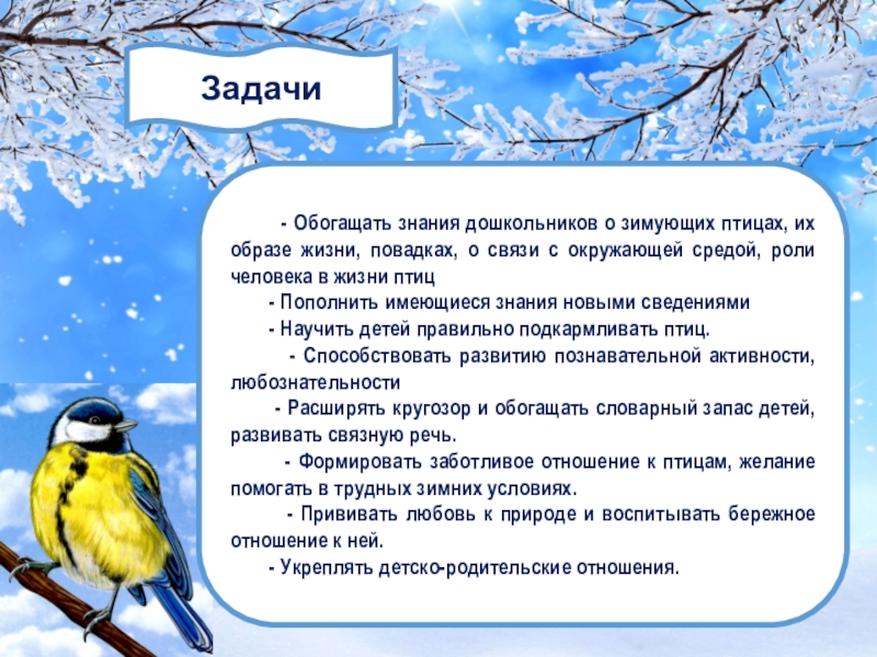 Планирование недели птицы. Проект Покормите птиц зимой. Задачи проекта зимующие птицы. Задача про зимующих птиц. Тема недели зимующие птицы.