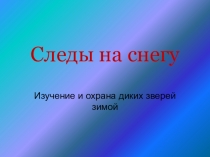 Презентация Следы на снегу