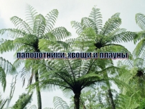 Презентация по биологии на тему Мхи,папоротники,плауны