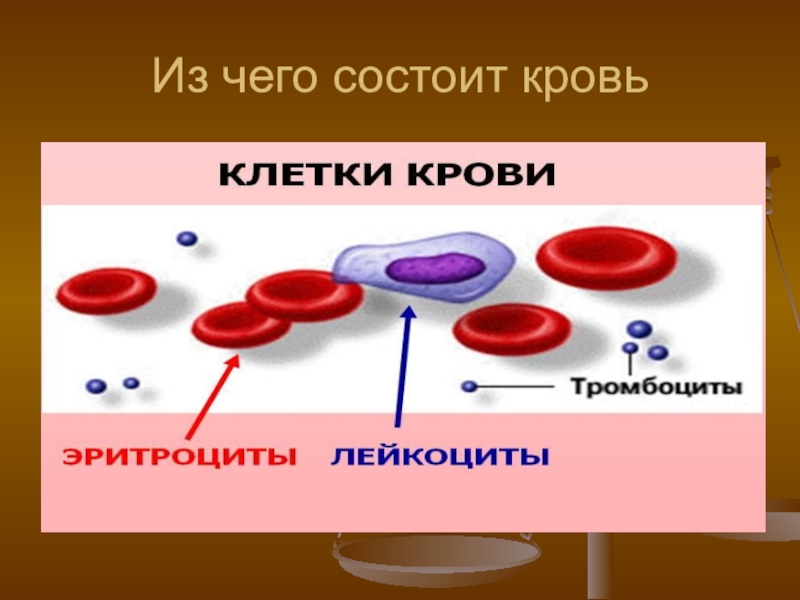 Из чего состоит рисунок. Из чего состоит крофбь. Из чего состоит кровь. Из чего состоит кровьэ. Из чего состоит икровт.