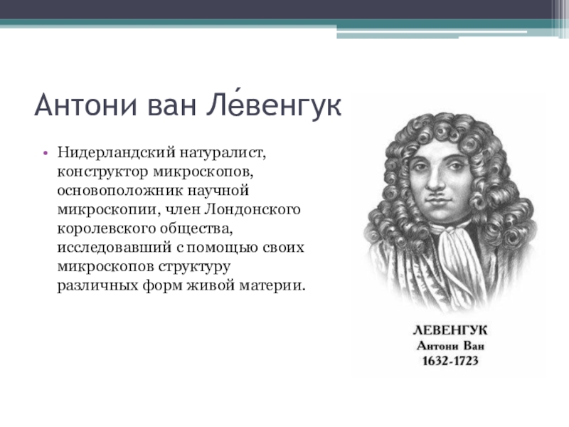 Какой метод использовал антони ван левенгук