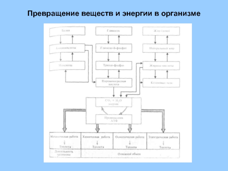 Схема превращение химия