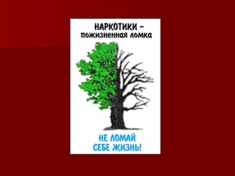 И не сломай знаешь ли ты. Наркотики пожизненная ломка. Наркотики пожизненная ломка не ломай себе жизнь. Наркотики пожизненная ломка дерево. Не сломай себе жизнь.