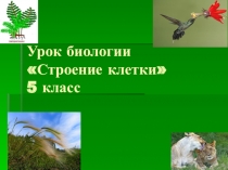 Презентация к уроку биологии на тему Строение клетки