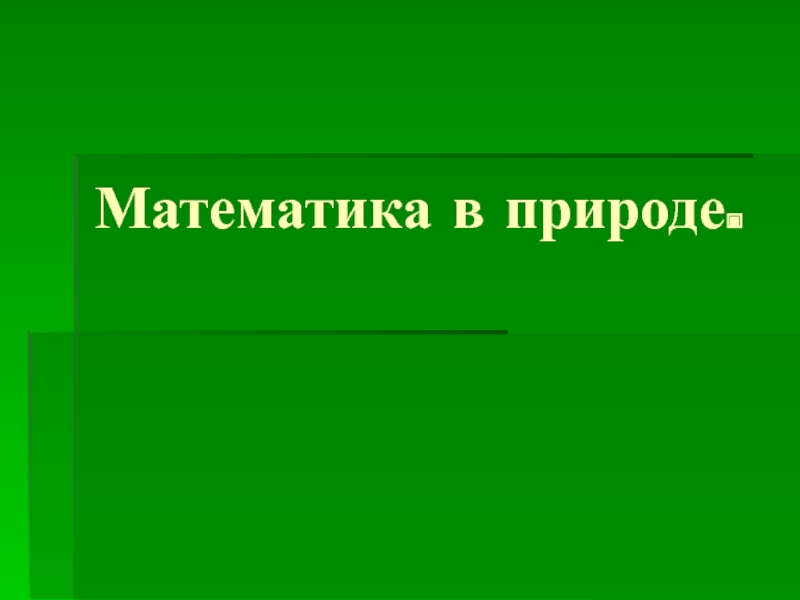 Математика в природе проект 5 класс