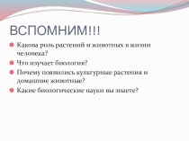 Презентация Свойства живых организмов