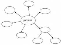 Презентация занятия по курсу Моё Оренбуржье тема Разнообразие растений
