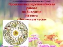 Проектно-исследовательская работа по биологии на тему: Цветочные часы.