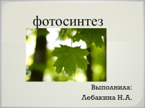 Презентация по биологии на темуФотосинтез