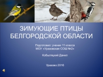 Электронный образовательный ресурс для учащихся 7 классов. Презентация Зимующие птицы Белгородской области