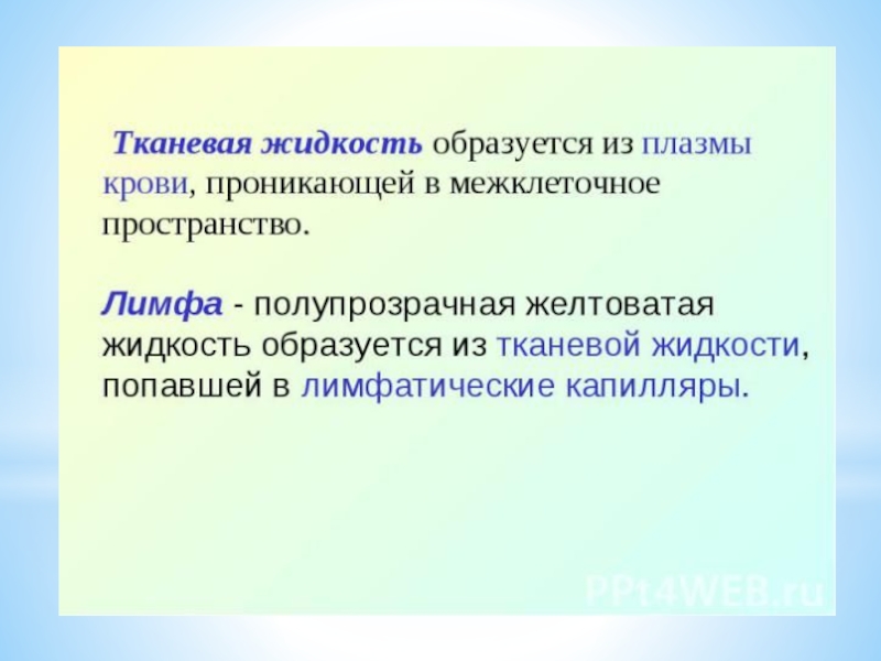 Жидкость образует. Межтканевая жидкость. Как образуется тканевая жидкость и лимфа. Лимфа образуется из. Тканевая жидкость попадает в лимфатические.