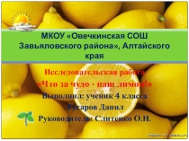 Исследовательская работа Что за чудо- наш лимон