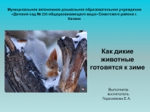 Презентация. Как дикие животные готовятся к зиме.