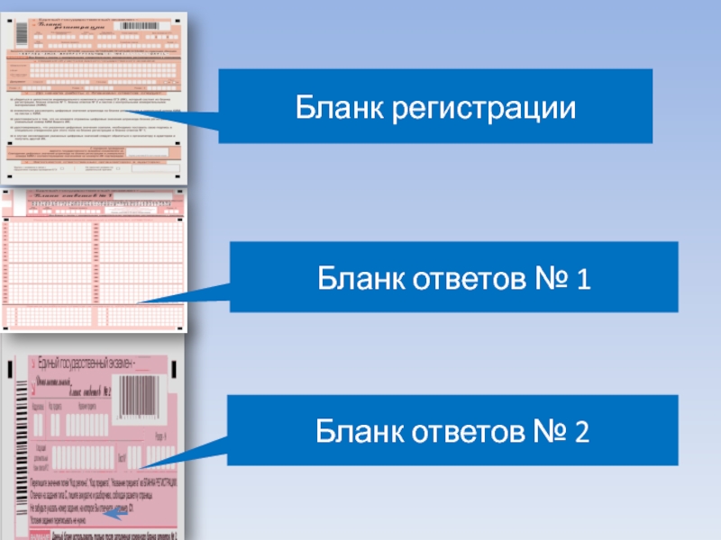 Форма 1 нс