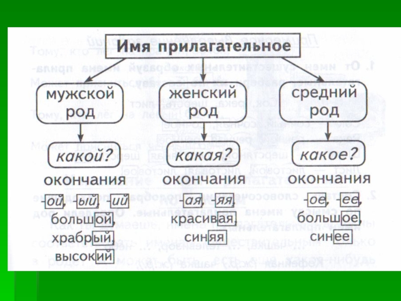 План конспект по русскому языку 3 класс изменение имен прилагательных по родам