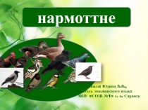 Презентация к уроку мокшанского языка на тему Нармоттне