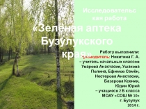 Исследовательская работа Зелёная аптека Бузулукского края