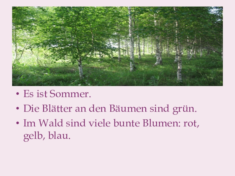 Die sommer