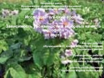 Исследовательский проект Зависимость урожайности и вкусовых качеств картофеля от сорта