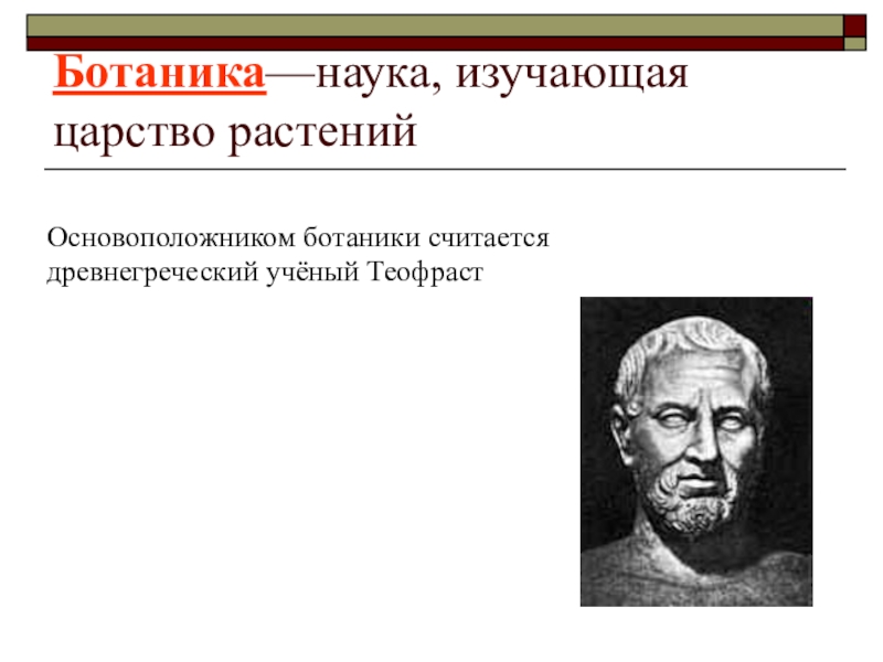 Считать родоначальником. Основоположник ботаники. Основоположник Ботани. Ботаника это наука изучающая. Какого учёного считают основоположником ботаники.