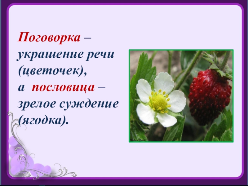Поговорка цветочек пословица ягодка. Пословицы и поговорки про ягоды. Поговорка по уроку изо. Пословицы ягодки. Поговорка цветочек пословица ягодка смысл пословицы.