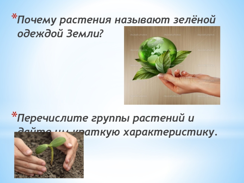 Реферат: Питание растений