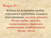 Презентация к уроку Плесневые грибы