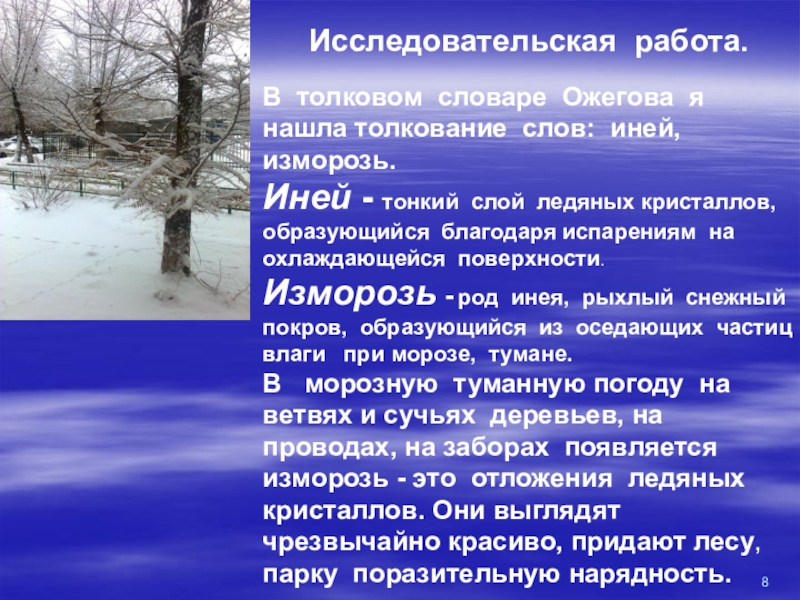 Иней значение. Толкование слова изморозь. Сообщение про иней. Предл со словом изморозь. Иней описание 3 класс.