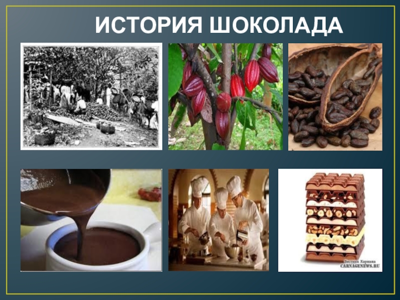 История шоколада картинки