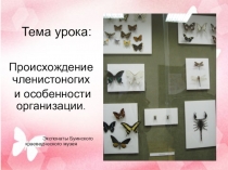 Тема урока:Происхождение членистоногих и особенности организации (7 класс)