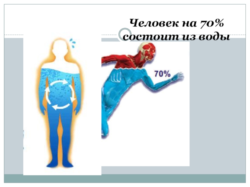 Как состоит человек. Человек состоит из воды. Человек состоит из. Человек на 70 состоит из воды. Человек состоит из воды проект.