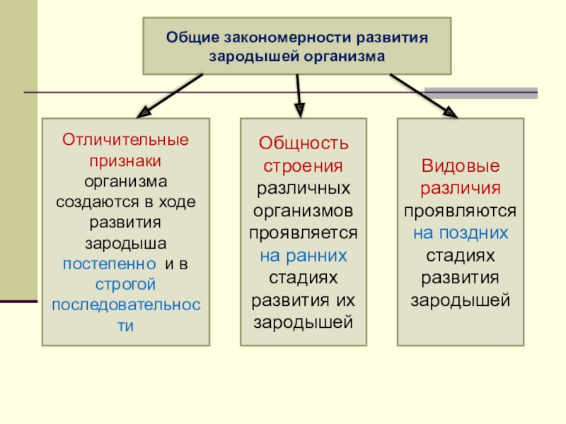 Основные закономерности эволюции 9 класс презентация