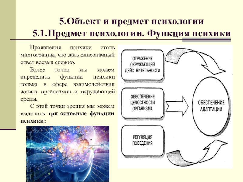 Основной предмет психологии. Объект предмет и функции психологии. Психология и психология объект и предмет. Объект и предмет психологии кратко. Обоснуйте объект и предмет психологии.