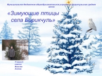 Презентация Зимующие птицы села Бирикчуль.