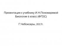Презентация по биологии на тему Лист, его строение и значение (6 класс)