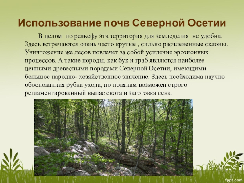 Использование почв. Почвы Северной Осетии. Доклад о Луговой почве. Основные сведения о почвах Северной Осетии.