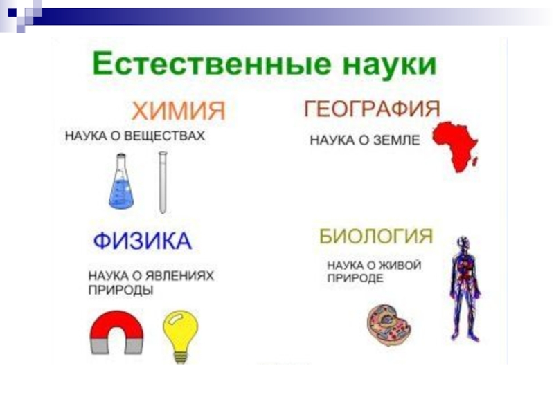 2 науки о природе. География наука о природе. Естественные науки. Составление схемы наук о природе. Химия наука о природе.