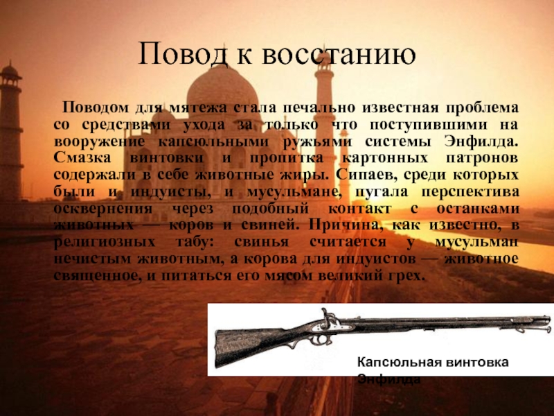 Повод к восстанию Поводом для мятежа стала печально известная проблема со средствами ухода за только