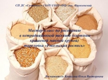 Мастер - класс (рисование крашеной манной крупой)